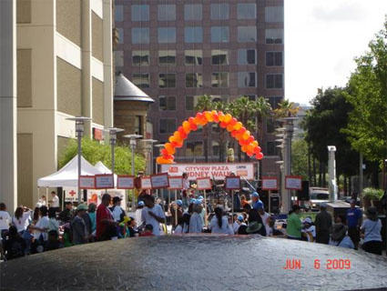 2009 Kidney Walk