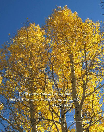 I will praise You all of my life, and in Your name I will lift up my hands. Psalm 63:4