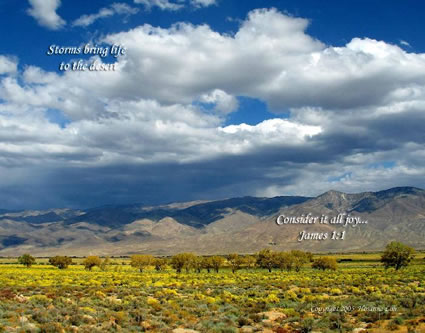 Storms bring life to the desert. Consider it all joy… James 1:1
