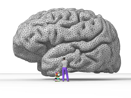 The Brain