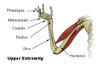 Broken Wrist