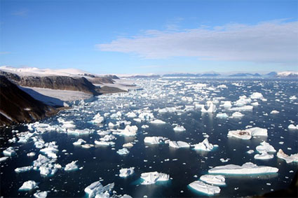 icebergs