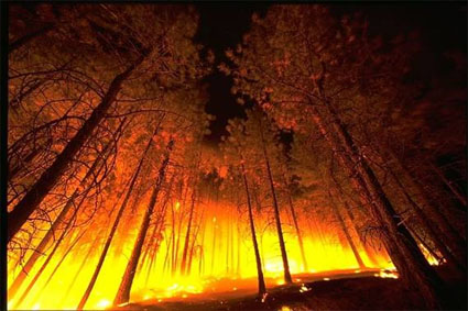 Consuming Fire