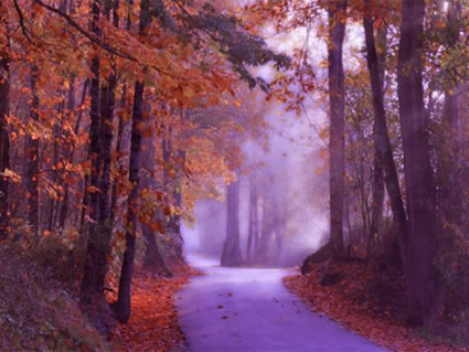 Fall Road