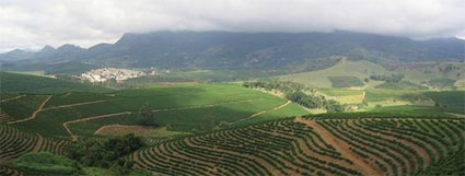 Farming