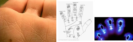 Fingerprints