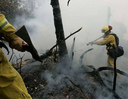 Firefighter