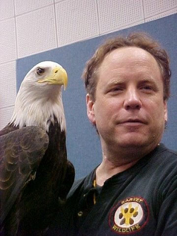 Freedom