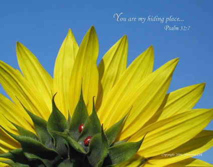 You are my hiding place. Psalm 32:7
