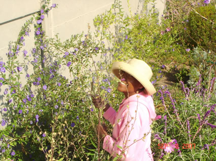 Irene in Her Wisteria Garden