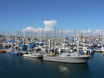 Monterey Harbor