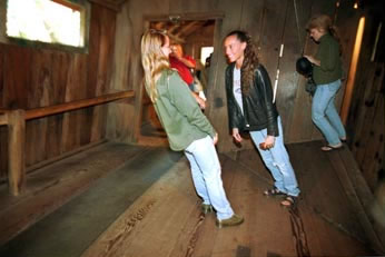 Mystery Spot