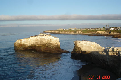 Natural Bridges, Santa Cruz