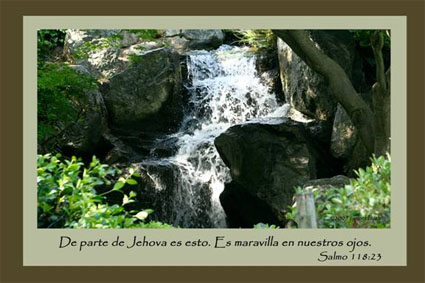 Salmo 118:23