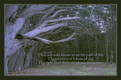 Psalm 16:11