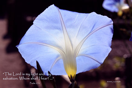 Psalm 27