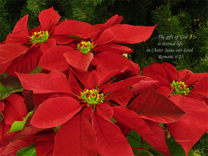 .... The gift of God is eternal life in Christ Jesus our Lord. Romans 6:23b