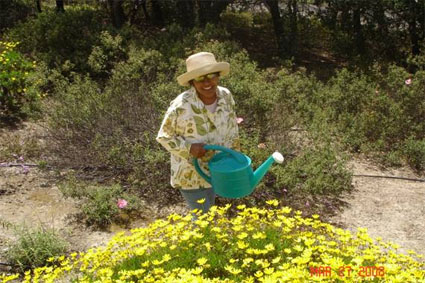 Spring 2008