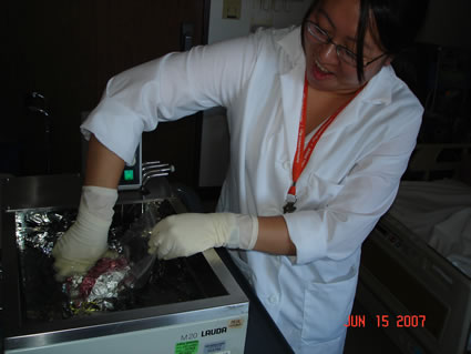 Christine Bathes and Defrosts the Stem Cells