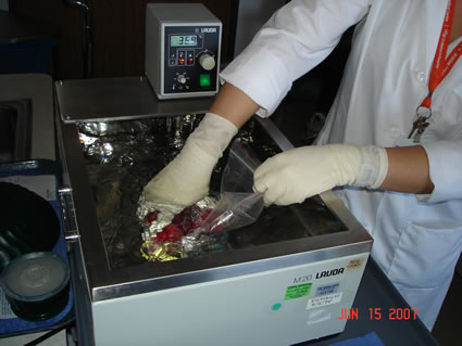 Lisa, who coordinates the effort, showcases the stem cell process