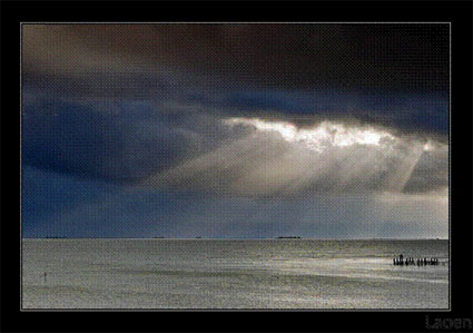 Sunlight