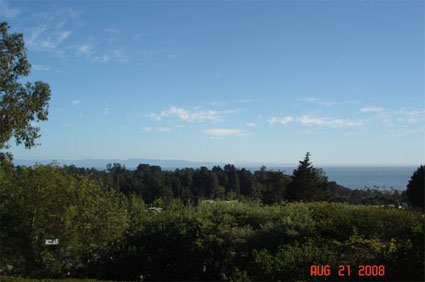 The View