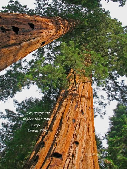 My ways are higher than your ways. Isaiah 55:9