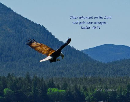 Those who wait on the Lord will gain new strength. Isaiah 40:31
