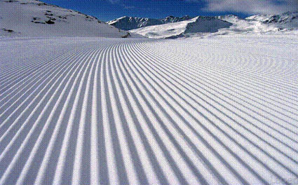 Winter Dunes